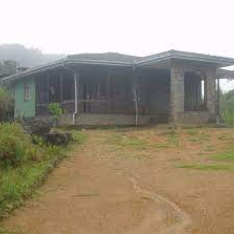 Morningside Forest Bungalow in Sinharaja Forest Reserve