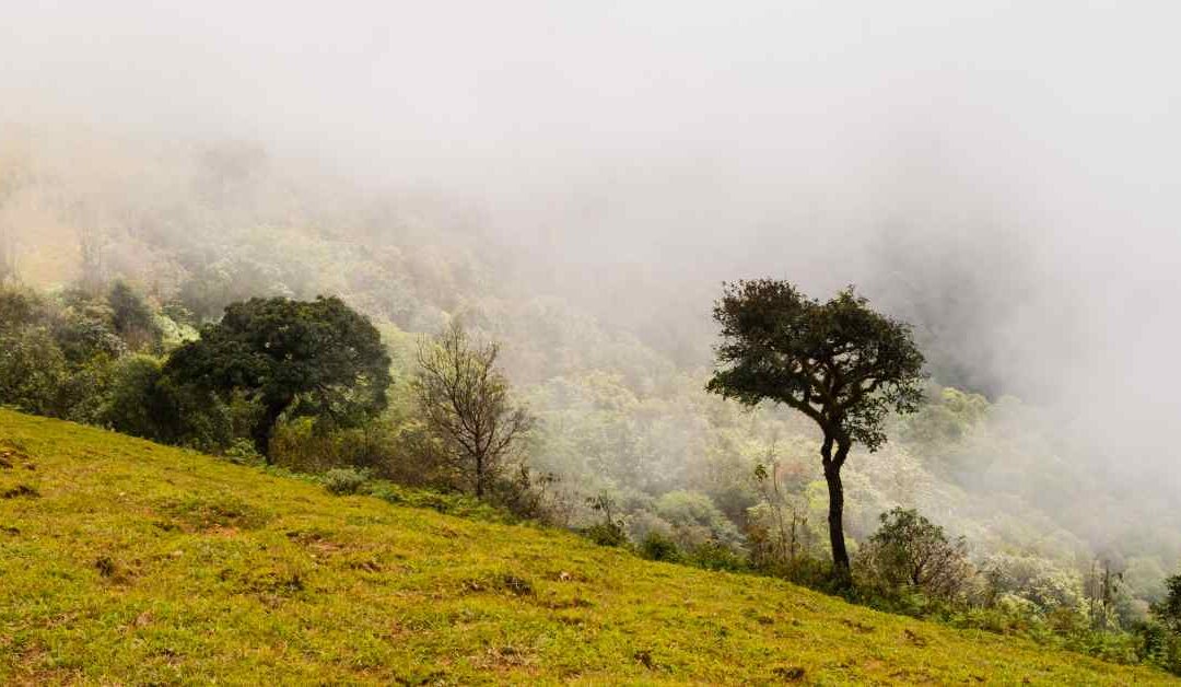 Morningside in Suriyakanda, Sri Lanka