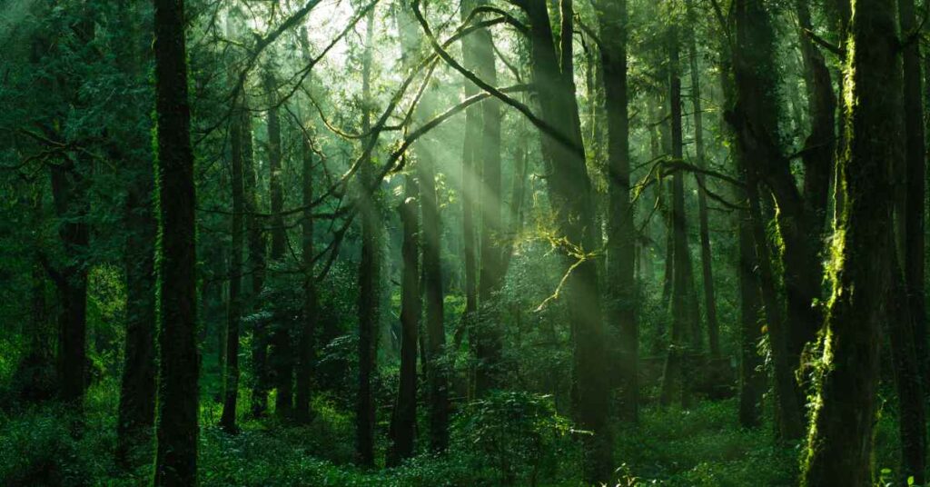 Galway's Land National Park