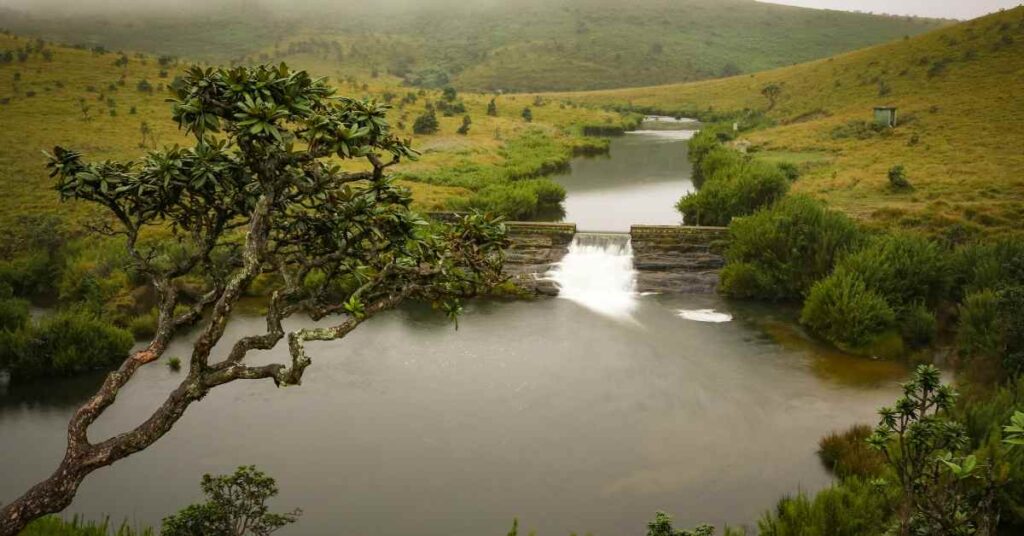 Horton Plains National Park