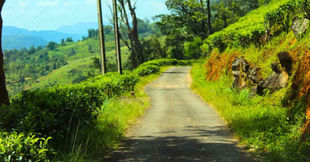 Patna Road Deniyaya Sri Lanka